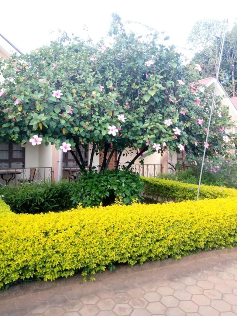 Hotel The Royal Pentagon à Hoima Extérieur photo